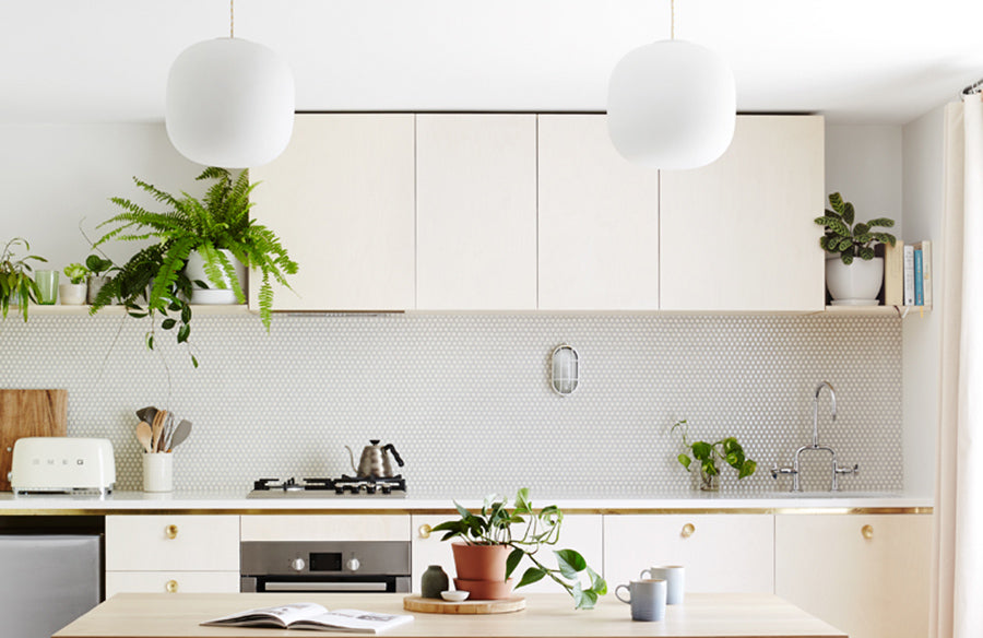 Las 10 principales plantas de interior que purifican el aire para aumentar el bienestar en el hogar